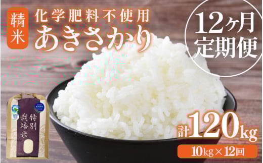 【先行予約】【令和7年産】定期便 ≪12ヶ月連続お届け≫ 化学肥料不使用 特別栽培米 あきさかり 精米 10kg × 12回（合計120kg） / 白米 米 福井県あわら市産 美味しい 特別栽培米 減農薬 安心な米 旨味 甘み もっちり 冷蔵保管米 ※2025年10月上旬より順次発送 [aw010-p001]