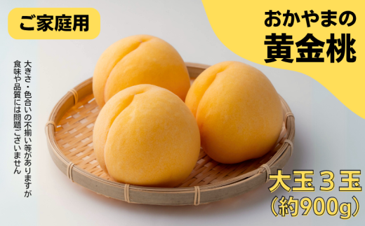 家庭用 黄金桃 3玉 大玉 約900g 岡山県産【先行予約 2025年8月下旬から順次発送】