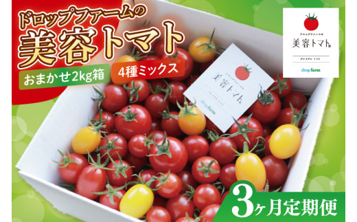 【3ヶ月定期便】【11月より順次発送】ドロップファームの美容トマトおまかせ2kg箱(４種ミックス)【とまと フルーツトマト 野菜ソムリエ 栄養士 アイコ イエローアイコ 小鈴 フルティカ 野菜 フレッシュ 水戸市 茨城県】（CK-18）
