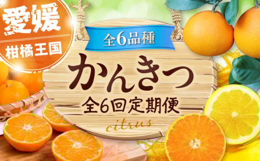 【全6回定期便】 【2025年11月以降毎月発送】えひめかんきつ定期便 愛媛県大洲市/愛媛県観光物産協会 みかん 日の丸ゴールド 紅まどんな 伊予柑 デコポン せとか 河内晩柑 [AGDN001]
