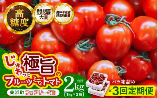 定期便 ≪3ヶ月連続お届け≫じゅわっと極旨のフルーツミディトマト 約1kg (バラ箱詰め) ×２箱【 とまと トマト フルーツトマト ミニトマト トマトジュース 野菜 やさい 人気 新鮮 産地直送 甘い 高糖度 完熟 食べやすい リコピン ビタミン ダイエット 美容 美肌 】 [m37-b003]