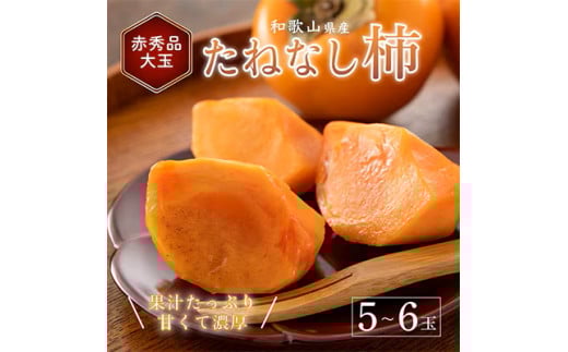 先行受付!　柿　種無し　赤秀品　大玉　5～6個　約2kg ※2025年9月下旬～10月下旬頃より順次発送予定 ※離島への配送不可
