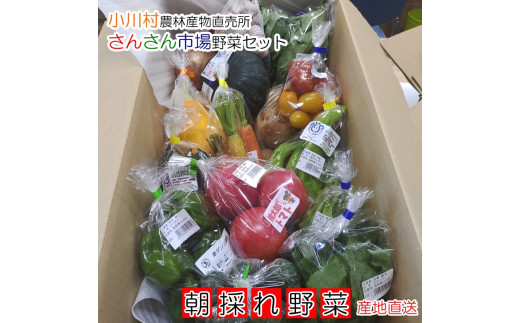 408*さんさん市場 やさい名人がチョイスする新鮮季節の野菜2回セット 310251 - 長野県小川村