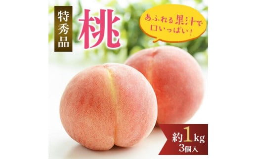 先行受付!　旬の桃　(特秀品)食べきりやすい3個入り ※2025年6月下旬～8月下旬頃より順次発送予定 ※離島への配送不可