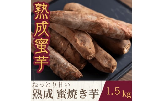 ねっとり甘い熟成蜜焼き芋 1.5kg【1618098】