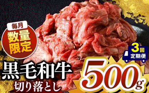 【定期便3回】栃木県産 黒毛和牛 切り落とし 500g | 肉 おにく 黒毛和牛 牛 肉 真岡市 栃木県 送料無料