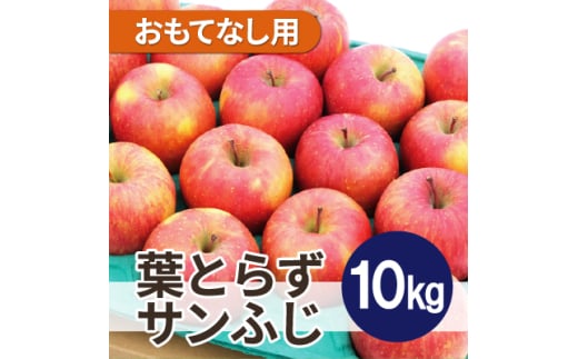 ＜25年12月より順次発送＞平均糖度13度以上! 葉とらずサンふじ 約10kg おもてなし用【1611284】 2096773 - 青森県黒石市