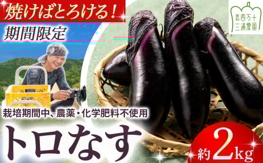 【期間限定】 焼いてトロける！三浦農園のトロなす2kg 栽培期間中農薬・化学肥料不使用 ／Fms-16 農産物 新鮮 ナス なす 茄子 焼きナス 野菜 大量 農薬不使用 化学肥料不使用 2141690 - 高知県四万十町