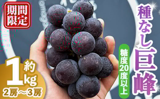 【先行予約】種なし巨峰1kg［2～3房入り］ 巨峰 ぶどう ブドウ 葡萄 フルーツ 果物 くだもの デザート 種なし 【奥久慈 まほろばの郷 ふれあい農園】【ho1522】 2141531 - 茨城県常陸大宮市