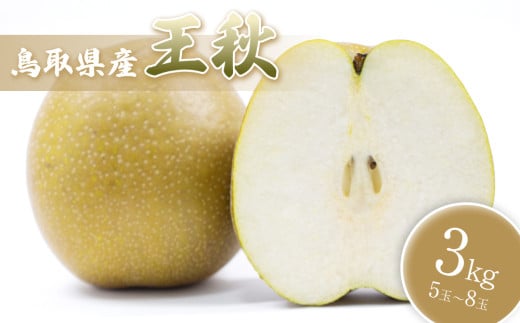 【先行予約】中野農園 梨 ”王秋梨” 3kg箱|鳥取 岩美 梨 なし ナシ 赤梨 果物 フルーツ【41016】 2093414 - 鳥取県岩美町