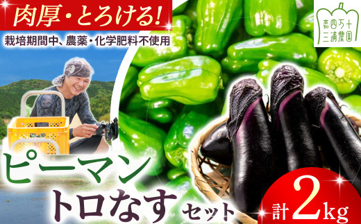【期間限定】 ピーマン・トロなすセット 2kg（各1kg） 栽培期間中農薬・化学肥料不使用 ／Fms-17 農産物 新鮮 ぴーまん ピーマン 肉厚ピーマン ナス なす 茄子 焼きナス 野菜 大量 農薬不使用 化学肥料不使用 2141689 - 高知県四万十町