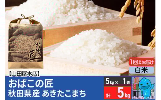 令和6年産 おばこの匠 秋田県産あきたこまち 5kg（白米）5kg袋 秋田こまち お米 542567 - 秋田県美郷町