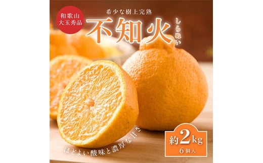 先行受付!　数量限定　不知火　樹上完熟　約2kg　大玉6個入　こだわり農家厳選! ※2026年2月下旬～3月下旬頃より順次発送予定