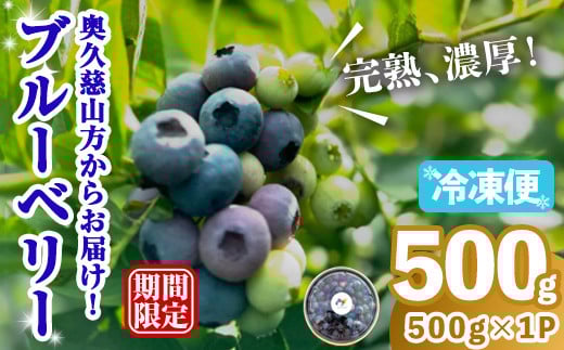 冷凍ブルーベリー500g ブルーベリー 果物 フルーツ 青果物 冷凍 スムージー ヨーグルト おやつ 【奥久慈 まほろばの郷 ふれあい農園】【ho1521】 2141529 - 茨城県常陸大宮市