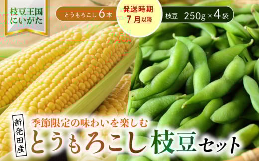 夏の味覚の最強コンビ！枝豆＆とうもろこしセット【 新潟県 新発田産 枝豆 とうもろこし セット 先行予約 数量限定 seida027 】 2086510 - 新潟県新発田市