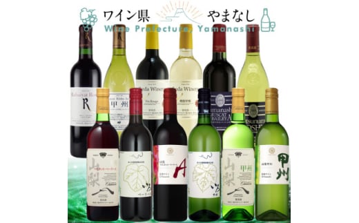 山梨ワイン 至極の12本セット【1607490】