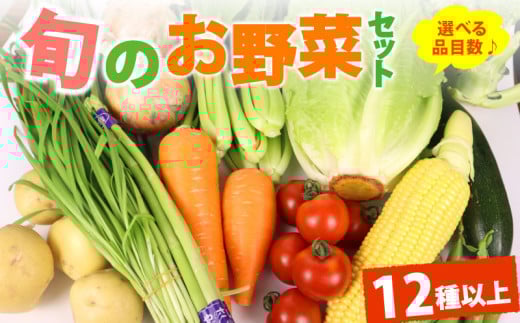 野菜 セット 12品目 以上 お野菜 季節 野菜 旬 新鮮 産地直送 詰め合わせ やさい おいしい 自然 セット 美味しい たっぷり 丸新柴本製茶 静岡県 牧之原市