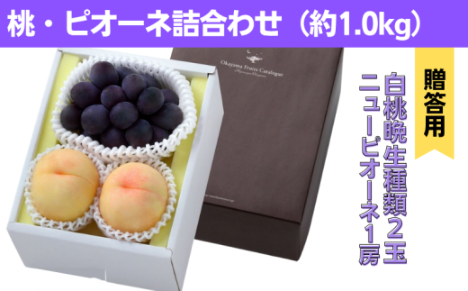 詰合せ 白桃 晩生種 2玉 ニューピオーネ 1房 合計約1.0kg 岡山県産 【先行予約 2025年8月下旬から順次発送】