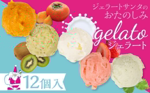 店長おすすめジェラート　12個入