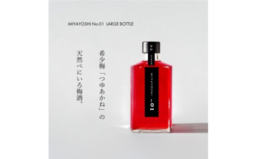 MIYAYOSHI No.01 LARGE BOTTLE（A1025-1）
