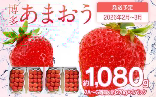 先行予約 あまおう 合計約1,080g 約270g×4パック 福岡県産 九州 イチゴ いちご 苺 果物 くだもの フルーツ 送料無料 【2026年2月～2026年3月順次発送】 360736 - 福岡県古賀市