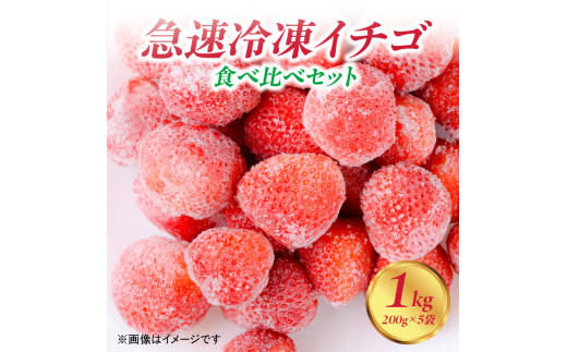福岡県八女市のふるさと納税 【急速冷凍イチゴ】食べ比べセット★グラニュー糖「なし」★｜1キロ 冷凍いちご