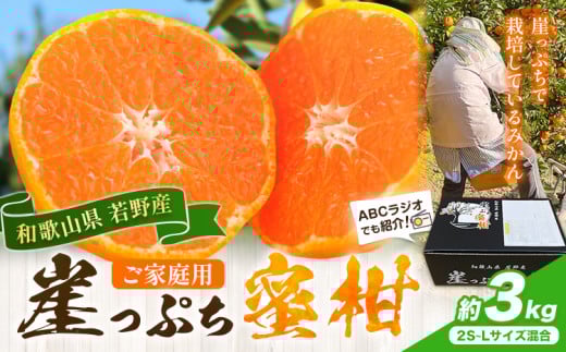 みかん ご家庭用 崖っぷち蜜柑 若野産 約3kg 2S〜Lサイズ混合 [11月下旬-1月上旬頃出荷予定] 崖っぷち蜜柑 和歌山県 日高川町 みかん 柑橘 フルーツ 果物 ミカン 送料無料