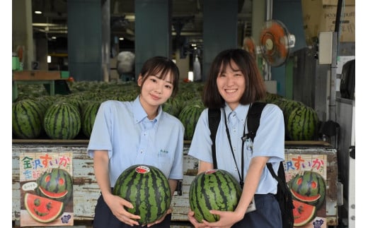 石川県金沢市のふるさと納税 【2025年】金沢すいか（大玉すいか）1玉 8kg以上 JA金沢市 すいか スイカ 西瓜 フルーツ 果物 石川 金沢 加賀百万石 加賀 百万石 北陸 北陸復興 北陸支援