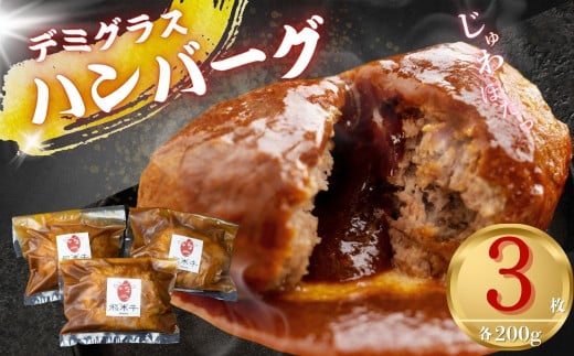 [簡易包装]飛米牛入りデミグラスソースハンバーグ 200g×3枚 簡単調理 温めるだけ 湯煎 レトルト 冷凍