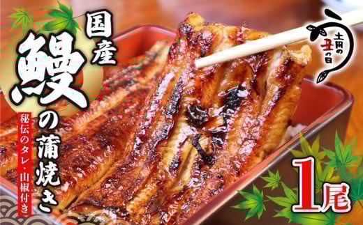 ＼最短7営業日以内発送／ 国産鰻 の 蒲焼き 国産うなぎ 1尾 山椒 タレ つき 半身 カット 国産 うなぎ ウナギ 鰻 炭火焼 炭火 うなぎ蒲焼き うな重 ひつまぶし 蒲焼 人気 おすすめ 丑の日 贈り物 贈答 ギフト プレゼント 送料無料 千葉県 旭市 川千家 kty001