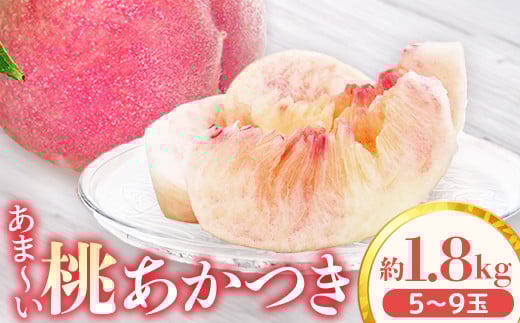 アグリスタくましろのあまーい桃『あかつき』約1.8kg　＜2025年7月中旬～7月下旬発送予定＞ 1251219 - 長野県豊丘村