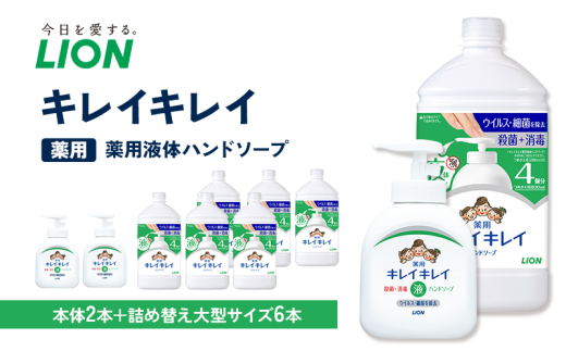 キレイキレイ薬用液体ハンドソープ（本体2本＋替特大6本）