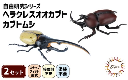 模型 昆虫 自由研究シリーズセット ヘラクレスオオカブト カブトムシ 2セット 玩具 ホビー 夏休み 虫 ヘラクレス 送料無料 フジミ 静岡県 藤枝市