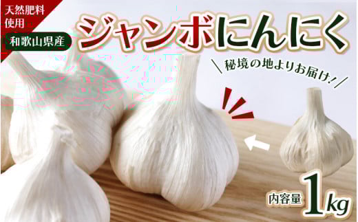 令和７年度産 秘境の地からお届けする あゆみファームのご家庭用ジャンボにんにく １kg【7月下旬から順次発送】/ にんにく ニンニク ジャンボにんにく 予約受付 ガーリック 和歌山【aym009】 1309441 - 和歌山県古座川町