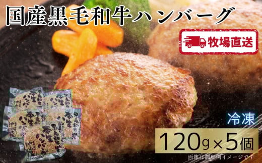 国産黒毛和牛ハンバーグ5個[A0102-0001]