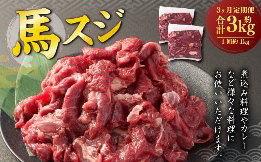 【3ヶ月定期便】 馬スジ 1kg （500g×2パック） 計3kg 馬肉 馬 お肉 肉 おかず 冷凍