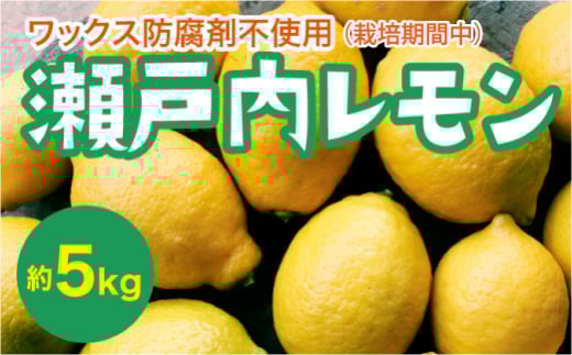 瀬戸内 レモン 約5kg【栽培期間中防腐剤ワックス不使用】【先行受付】【2025年12月以降発送】レモン 国産 佐木島 三原 広島 フルーツ 果物 柑橘 柑橘類 檸檬 017031 1116442 - 広島県三原市