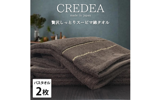 【バスタオル2枚組】スーピマ綿バスタオル 60×120cm クレB2-BR 2142699 - 和歌山県和歌山市