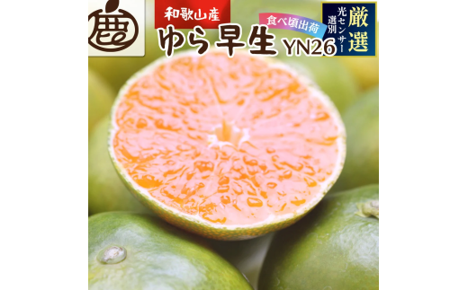 【先行予約】プレミアム有田みかん2.5kg+250g（傷み補償分）10月より発送(ゆら早生)   光センサー選果 有田 有田みかん くだもの 果物 フルーツ 柑橘  【ikd001B】 485869 - 和歌山県由良町