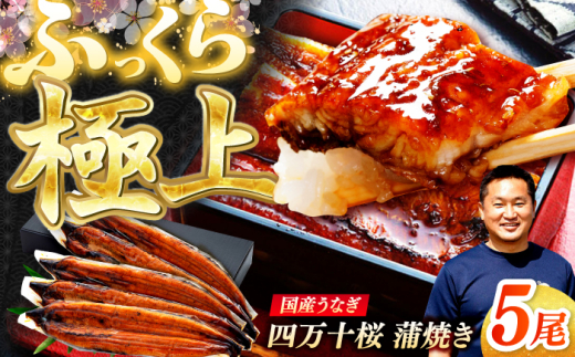 極上国産うなぎ四万十桜 蒲焼き5尾 たっぷり大サイズ / 国産 高知 四万十 うなぎ ウナギ 鰻 蒲焼き うな重 惣菜 贅沢 【有限会社もりた】 [ATHE004]