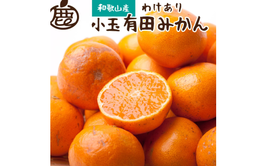 【先行予約】家庭用小さな有田みかん小さな(S以下)5kg+250g 10月より発送  訳あり わけあり 光センサー選果 みかん くだもの 果物 フルーツ 柑橘 有田みかん 有田 オレンジ【ikd154B】 1460724 - 和歌山県由良町