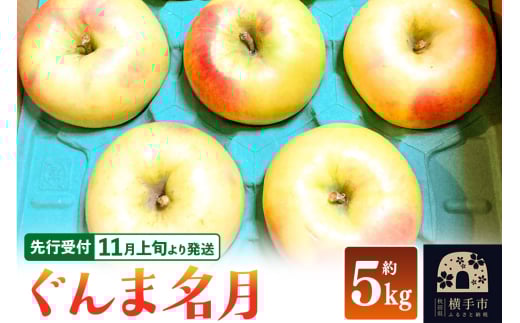 【先行受付】11月上旬より発送 ぐんま名月 約5kg りんご リンゴ 林檎 2142447 - 秋田県横手市
