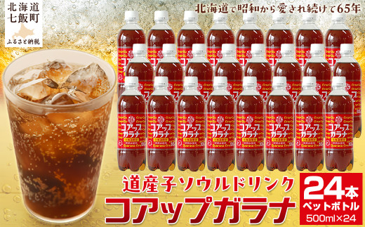 コアップガラナ24本セット（500mlペットボトル） ふるさと納税 人気 おすすめ ランキング コアップガラナ ガラナ 道産子ソウルドリンク 北海道代表 ご当地 北海道 七飯町 送料無料 NAQ003