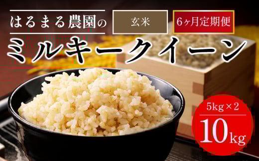 【先行予約】令和7年産新米　【定期便6ヵ月】京都丹波福知山産　ミルキークィーン 玄米10kg ／ ふるさと納税  米 こめ ご飯 ごはん 定期便 玄米 ミルキークイーン みるきーくいーん 福知山城献上米 豊冨米 京都府 福知山市 FCCN029