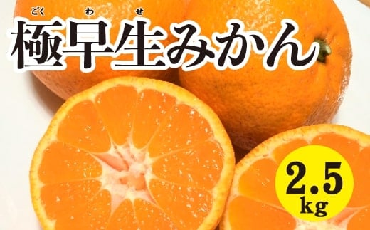みかん 柑橘【先行受付】【2025年10月中旬以降発送】 甘さと酸味が絶妙！極早生 みかん 約2.5kg 三原 佐木島 017038