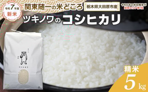 【令和7年産 新米 先行予約受付】ツキノワのコシヒカリ 精米 5kg ｜お米 白米 ご飯 コメ 栃木県 大田原市 