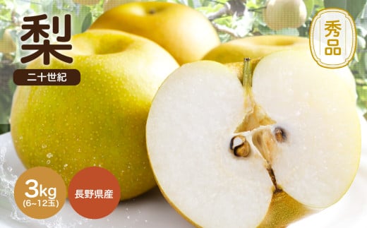 滴る程にジューシーな梨 長野県産　なし(二十世紀) 約3kg 秀品〈2025年9月上旬～9月末発送〉| 果物 くだもの フルーツ なし 梨 二十世紀 長野県 信州 南信州 飯田市 959109 - 長野県飯田市