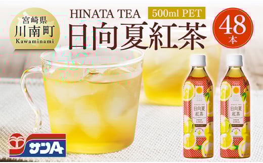 サンA 日向夏 紅茶 HINATA TEA 500mlＰＥＴ 24本 入り×2ケース  【 飲料 日向夏 紅茶 PET セット ジュース 長期保存 送料無料 】