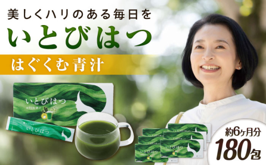 [6箱入 180日分]いとびはつ はぐくむ青汁 糸島市 / 株式会社ピュール 