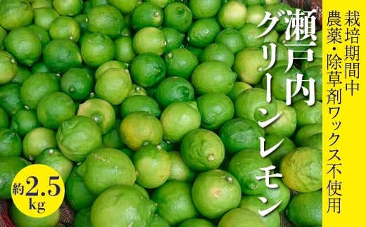 レモン 【先行受付】【2025年10月以降発送】【栽培期間中 農薬・除草剤不使用】離島 佐木島！グリーンレモン 約2.5kg   広島 三原 佐木島 鷺島みかんじま 017061